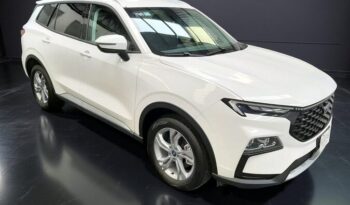 pixelcut-export (10)