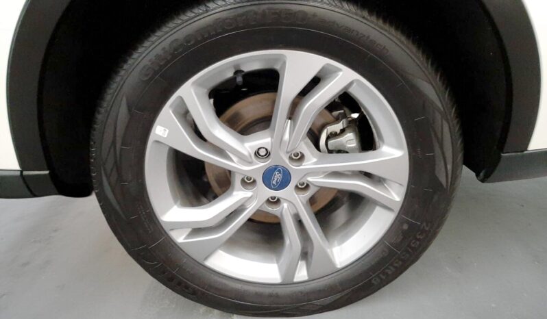 FORD TERRITORY TREND 2025 lleno