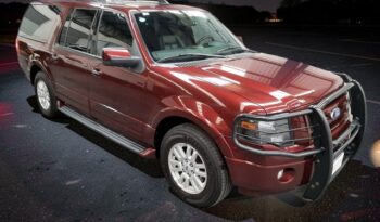 WhatsApp Image 2026-02-19 at 17.29.39