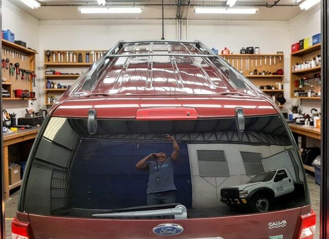 FORD EXPEDITION LIMITED MAX 2010 lleno