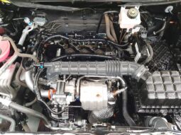 CHIREY TIGGO 2 PRO LUXURY 2024 (UNIDAD CERO KMS) lleno