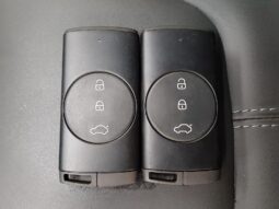 CHIREY TIGGO 2 PRO LUXURY CVT 2024 (UNIDAD CERO KMS) SERIE 8627 lleno