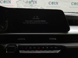 CHIREY TIGGO 2 PRO LUXURY 2024  (UNIDAD CERO KMS) SERIE 6258 lleno